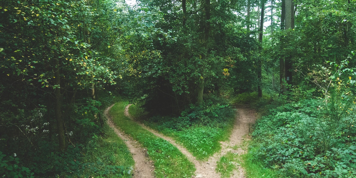 Malcolm Gladwell and Steven Johnson on How to Make Life’s Tough Decisions